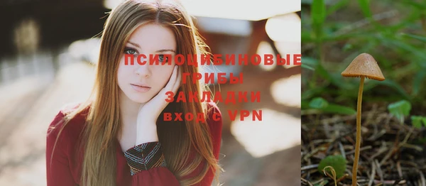 прущая мука Новодвинск