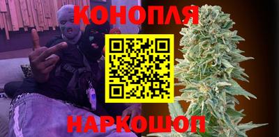 apvp Ачхой-Мартан